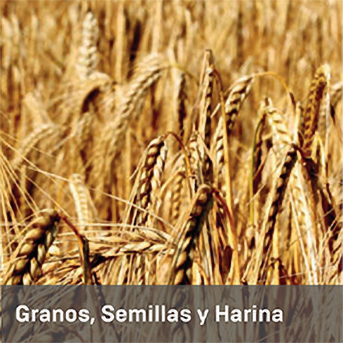 Granos y Semillas