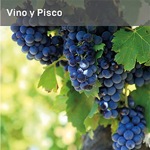 Vinos y Piscos